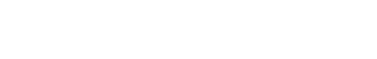 Nexus Magnetic Full Logo